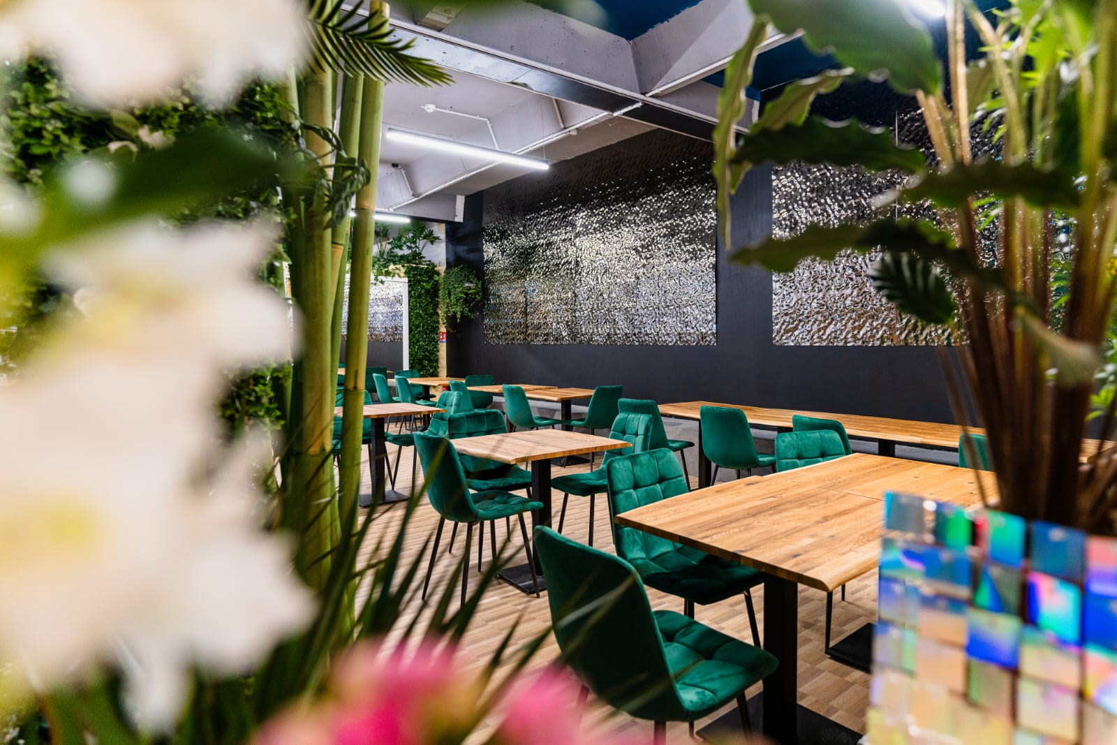 Salle lounge du restaurant H2O Metz avec tables, végétation et ambiance cosy